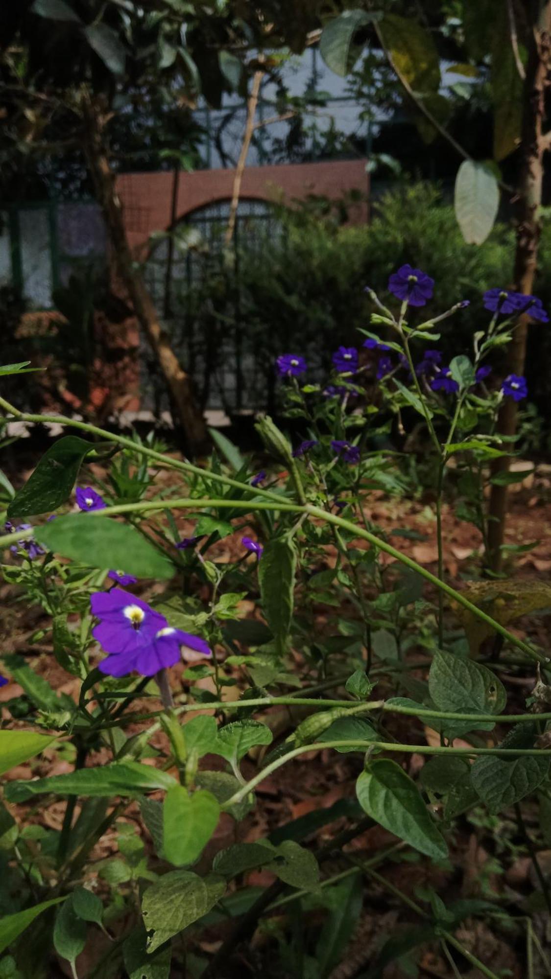 Jungle Valley Ayurvedic Spa Resort Meppadi Ngoại thất bức ảnh