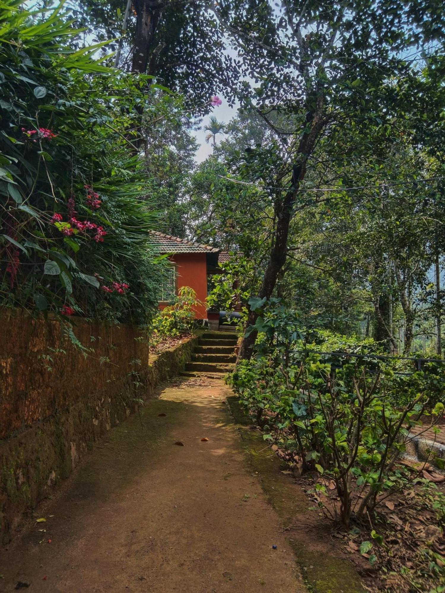Jungle Valley Ayurvedic Spa Resort Meppadi Ngoại thất bức ảnh