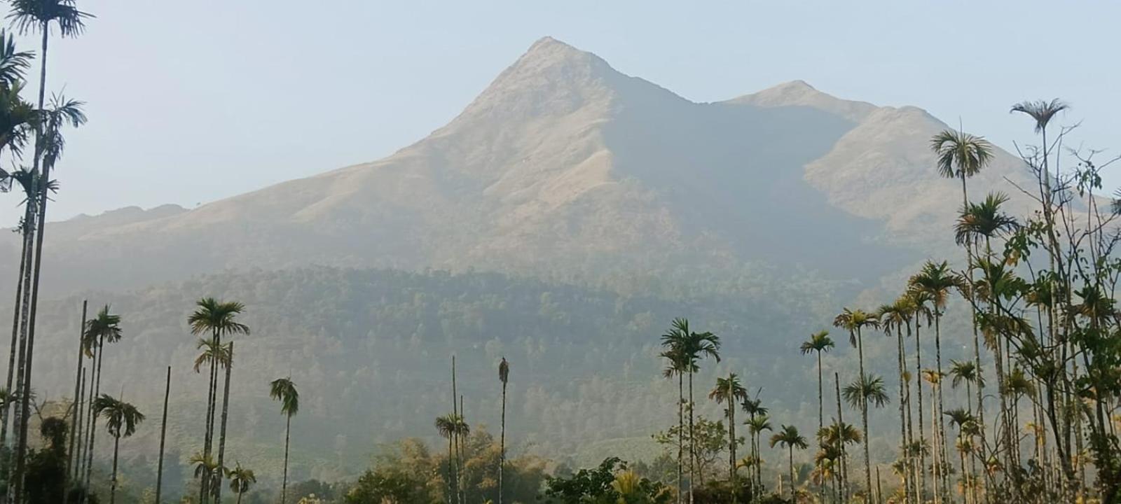 Jungle Valley Ayurvedic Spa Resort Meppadi Ngoại thất bức ảnh